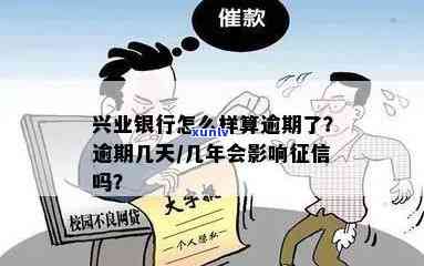 '普洱茶能瘦大肚子吗？女性可以喝吗？每天喝多少？'