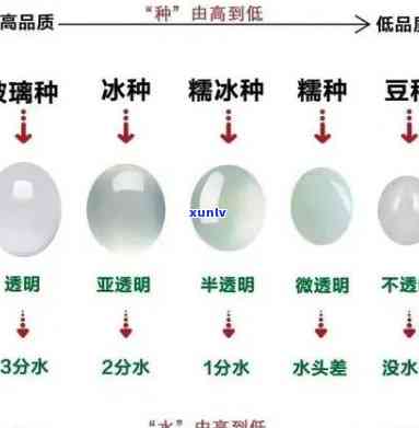 中鼎翡翠价格表，最新中鼎翡翠价格表出炉，一为快！