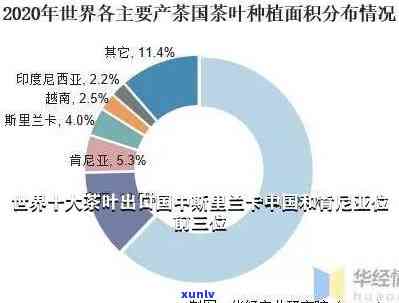 世界更大茶叶出口，揭秘：世界更大茶叶出口是哪个？