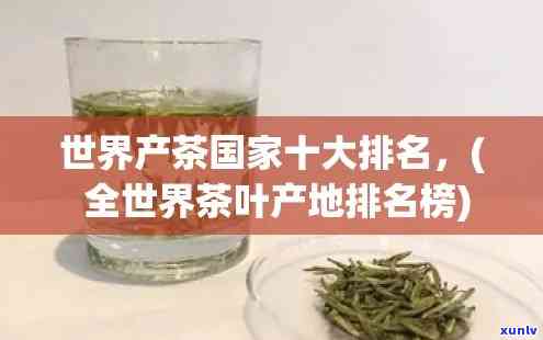 世界十大茶叶生产国：揭示全球茶产业的领先者