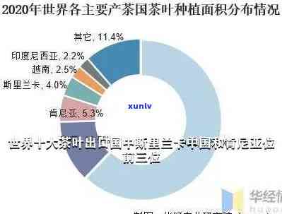 世界更大茶叶进口国是哪个，揭秘：全球更大的茶叶进口国是哪个？