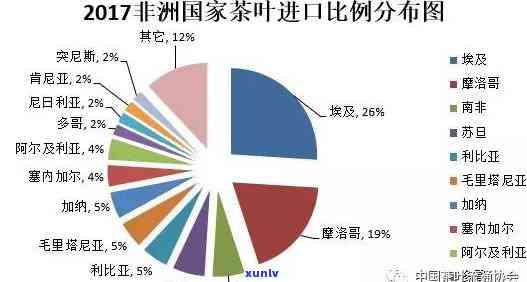 世界更大茶叶进口国：揭示茶叶贸易的主导力量