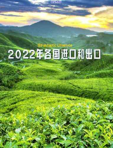 世界十大茶叶进口国-世界十大茶叶进口国2022