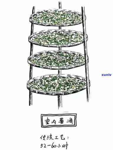 茶叶是从哪里来的：起源、 *** 过程与简笔画展示