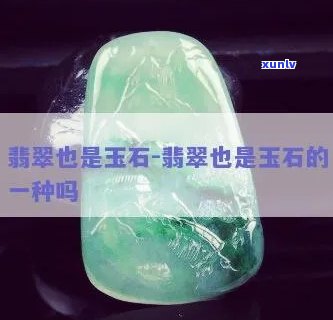 一级翡翠石加-一级翡翠石加多少法防