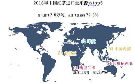 世界四大茶叶生产，探索世界四大茶叶生产国的茶文化与产业