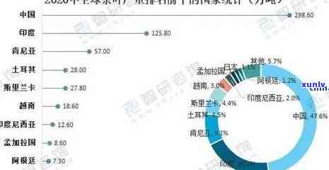 世界十大茶叶消费排名榜：揭示全球饮茶大国