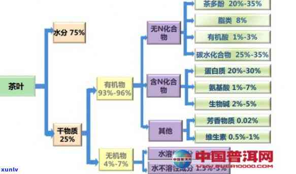 茶叶的含量：主要成分及比例解析