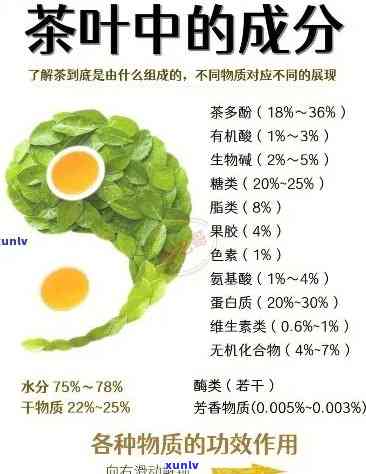 茶叶的含量：主要成分及比例解析