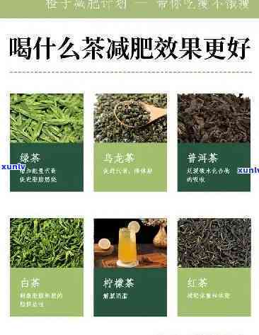 哪种茶叶最减肥效果-哪种茶叶最减肥效果