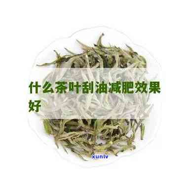 哪种茶叶最减肥效果-哪种茶叶最减肥效果