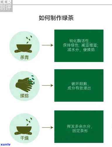 深度解析：茶叶农残问题的严重性与常见类型