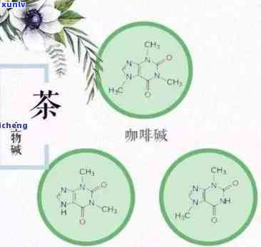 茶叶鞣酸：危害与好处全解析