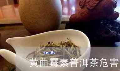 普洱茶品鉴与冲泡 *** 全解析：如何选购、存和品尝普洱茶？