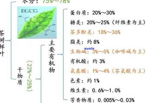 茶叶中营养成分包含什么，揭秘茶叶中的营养成分：你所不知道的健秘密