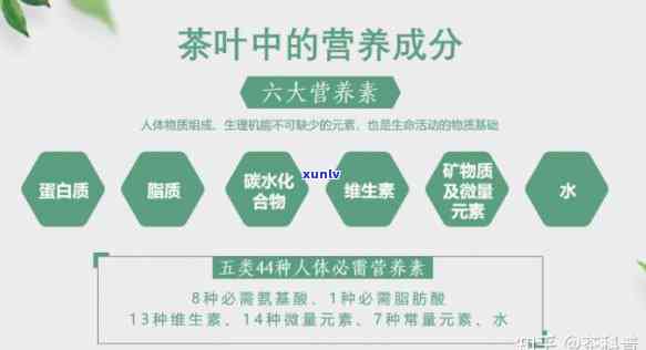 茶叶中营养成分包含什么，揭秘茶叶中的营养成分：你所不知道的健秘密