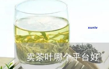 女孩卖茶叶有什么不好的意思吗，探讨“女孩卖茶叶”现象背后的社会观念和问题