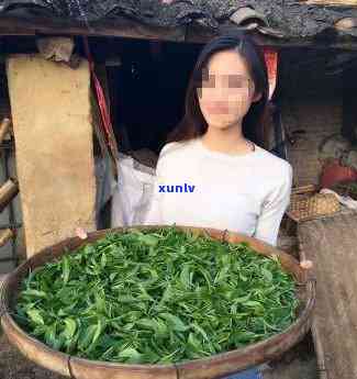 女孩卖茶叶有什么不好的意思吗，探讨“女孩卖茶叶”现象背后的社会观念和问题