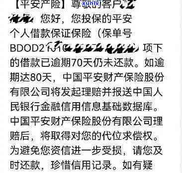 平安  还不上会坐牢吗，平安  逾期未还，是不是会面临刑事责任？