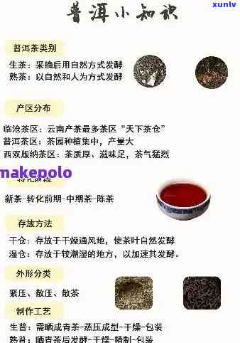 全程揭秘：茶叶的生产过程视频讲解教程