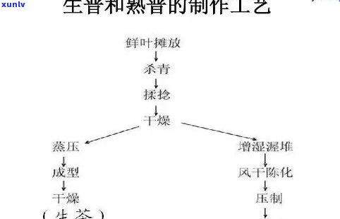 茶叶的生产过程视频-茶叶的生产过程视频讲解