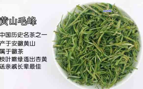 黄山哪里的茶叶-黄山哪里的茶叶喝