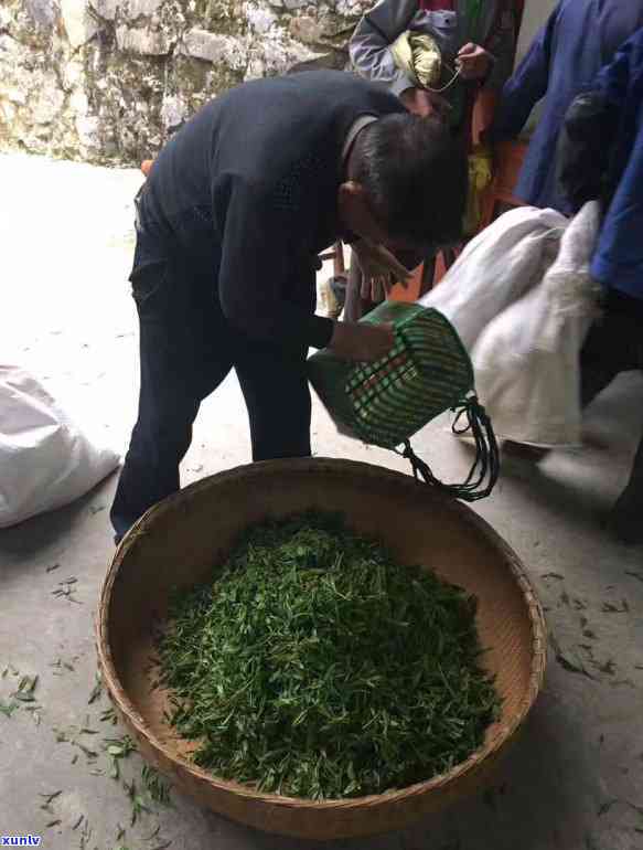 黄山茶叶排行榜，揭秘黄山茶叶排行榜，哪种茶叶更值得购买？