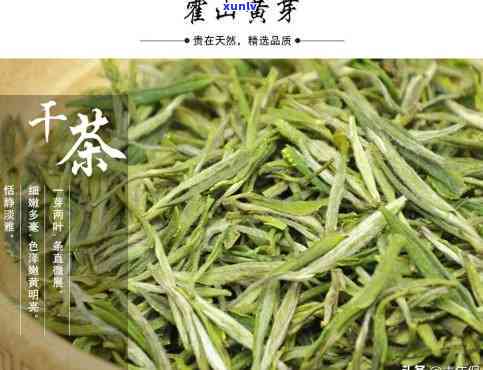 黄山茶叶排行榜，揭秘黄山茶叶排行榜，哪种茶叶更值得购买？