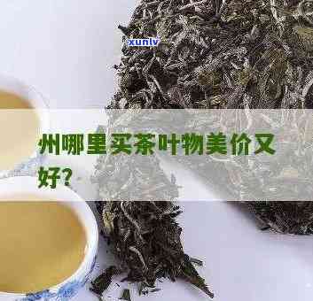 州茶叶哪里买较好？全面比较各大茶！