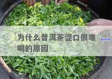 茶叶涩嘴好还是不好-茶叶涩嘴好还是不好喝