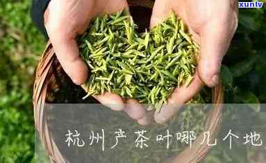 西湖哪里卖茶叶好，寻找优质茶叶？州西湖购买地点推荐！