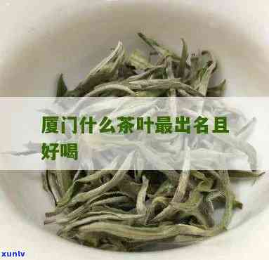 厦门哪些茶叶好-厦门哪些茶叶好点