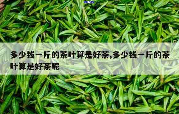 多少一斤的茶叶算好-多少一斤的茶叶算好茶叶呢