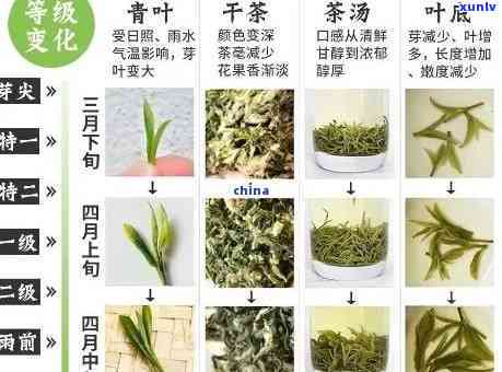 茶叶什么等级比较好-哪个等级的茶叶好