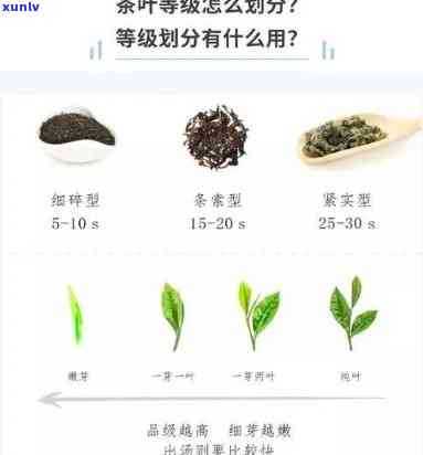 茶叶什么等级比较好-哪个等级的茶叶好