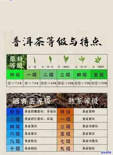 茶叶的质量等级哪个好，探讨茶叶质量：哪种等级的？