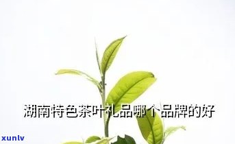 湖南特产茶叶哪的好-湖南特产茶叶哪的好喝