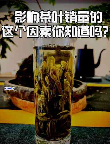 哪个时间的茶叶卖？影响茶叶销售的关键因素解析