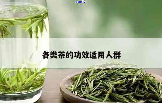 哪种茶叶对人体-哪种茶叶对人体最健