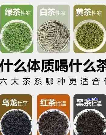 哪个茶叶比较好一点？全面比较各大的茶叶优劣