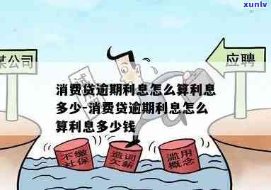 银行消费贷逾期利息高吗？计算  及实际费用解析