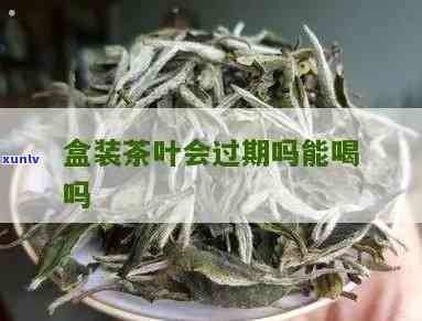 袋装茶叶过期能喝吗-袋装茶叶过期能喝吗有吗