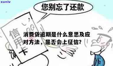 消费贷逾期是什么意思，熟悉消费贷逾期：其含义与可能的结果