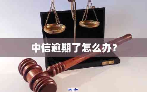 中信逾期能否重申？怎样申请？详细解析