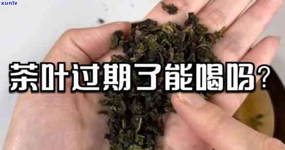 茶叶掉地上还能喝吗？有吗？完整解析！