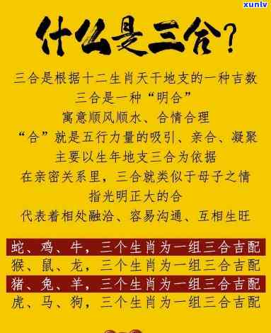 三合挂件是什么意思？详细解释与图片展示