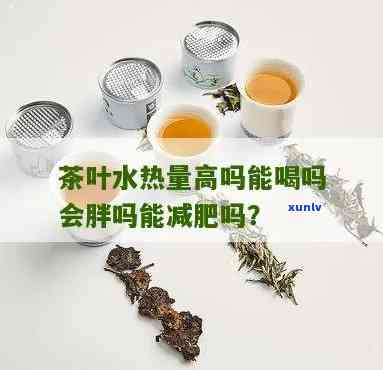 减肥可以喝茶叶水吗-减肥可以喝茶叶水吗?