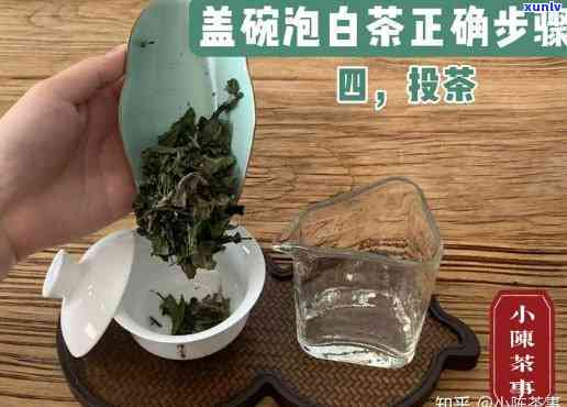 小杯子能泡开茶叶吗？视频详解教程！