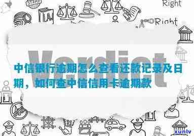 中信银行查逾期还款记录：全面指南