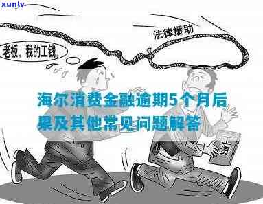 海尔消费金融逾期5个月会有什么结果，海尔消费金融逾期5个月可能面临的严重结果！